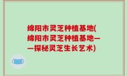 绵阳市灵芝种植基地(绵阳市灵芝种植基地——探秘灵芝生长艺术)