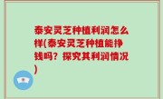 泰安灵芝种植利润怎么样(泰安灵芝种植能挣钱吗？探究其利润情况)