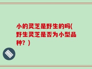小的灵芝是野生的吗(野生灵芝是否为小型品种？)