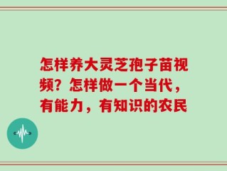 怎样养大灵芝孢子苗视频？怎样做一个当代，有能力，有知识的农民