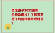 灵芝孢子2022最新价格及图片？了解灵芝孢子的价格和外观特点？