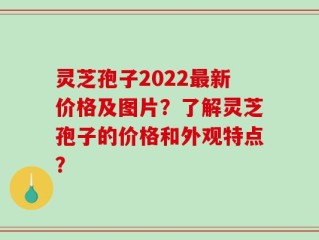 灵芝孢子2022最新价格及图片？了解灵芝孢子的价格和外观特点？