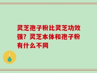 灵芝孢子粉比灵芝功效强？灵芝本体和孢子粉有什么不同