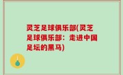 灵芝足球俱乐部(灵芝足球俱乐部：走进中国足坛的黑马)