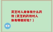 灵芝对人身体有什么药效 (灵芝的药效对人体有哪些好处？)