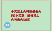 小灵芝上火吗还是去火的(小灵芝：解析其上火与去火功能)