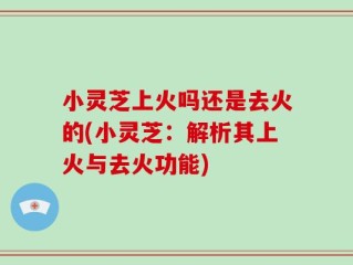 小灵芝上火吗还是去火的(小灵芝：解析其上火与去火功能)