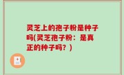 灵芝上的孢子粉是种子吗(灵芝孢子粉：是真正的种子吗？)