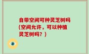 自带空间可种灵芝树吗(空间允许，可以种植灵芝树吗？)