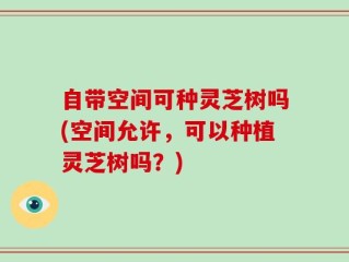 自带空间可种灵芝树吗(空间允许，可以种植灵芝树吗？)