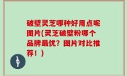 破壁灵芝哪种好用点呢图片(灵芝破壁粉哪个品牌最优？图片对比推荐！)