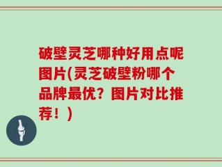 破壁灵芝哪种好用点呢图片(灵芝破壁粉哪个品牌最优？图片对比推荐！)