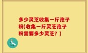 多少灵芝收集一斤孢子粉(收集一斤灵芝孢子粉需要多少灵芝？)