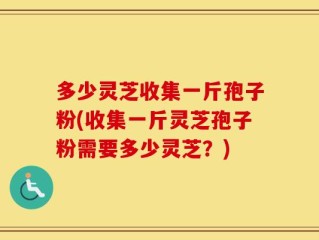 多少灵芝收集一斤孢子粉(收集一斤灵芝孢子粉需要多少灵芝？)