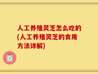 人工养殖灵芝怎么吃的(人工养殖灵芝的食用方法详解)