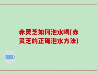 赤灵芝如何泡水喝(赤灵芝的正确泡水方法)