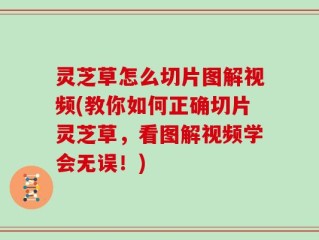 灵芝草怎么切片图解视频(教你如何正确切片灵芝草，看图解视频学会无误！)
