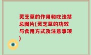 灵芝草的作用和吃法禁忌图片(灵芝草的功效与食用方式及注意事项)