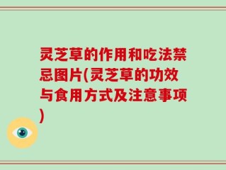 灵芝草的作用和吃法禁忌图片(灵芝草的功效与食用方式及注意事项)