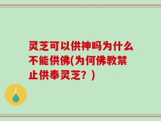 灵芝可以供神吗为什么不能供佛(为何佛教禁止供奉灵芝？)