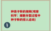 种孢子粉的视频(观察科学：细胞分裂过程中种子粉的惊人运动)