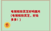 电视柜放灵芝好吗图片(电视柜放灵芝，好处多多！)