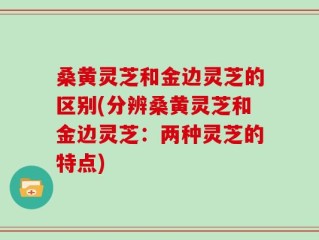 桑黄灵芝和金边灵芝的区别(分辨桑黄灵芝和金边灵芝：两种灵芝的特点)