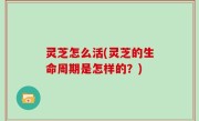 灵芝怎么活(灵芝的生命周期是怎样的？)