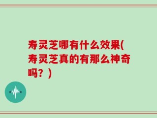 寿灵芝哪有什么效果(寿灵芝真的有那么神奇吗？)