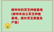 郴州市的灵芝种植基地(郴州市设立灵芝种植基地，提升灵芝质量及产量)