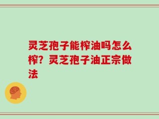 灵芝孢子能榨油吗怎么榨？灵芝孢子油正宗做法
