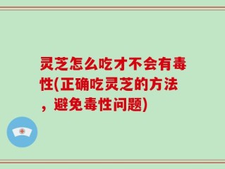 灵芝怎么吃才不会有毒性(正确吃灵芝的方法，避免毒性问题)