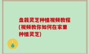 盘栽灵芝种植视频教程(视频教你如何在家里种植灵芝)