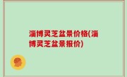 淄博灵芝盆景价格(淄博灵芝盆景报价)