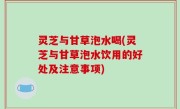 灵芝与甘草泡水喝(灵芝与甘草泡水饮用的好处及注意事项)