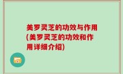 美罗灵芝的功效与作用(美罗灵芝的功效和作用详细介绍)