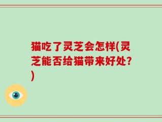 猫吃了灵芝会怎样(灵芝能否给猫带来好处？)
