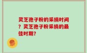 灵芝孢子粉的采摘时间？灵芝孢子粉采摘的最佳时期？