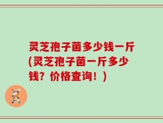 灵芝孢子菌多少钱一斤(灵芝孢子菌一斤多少钱？价格查询！)