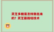 灵芝多糖是怎样做出来的？灵芝菌栽培技术