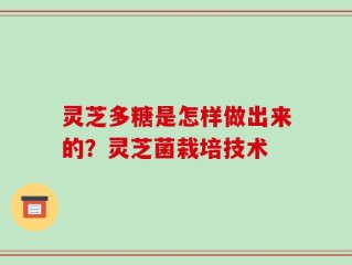 灵芝多糖是怎样做出来的？灵芝菌栽培技术