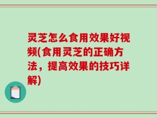 灵芝怎么食用效果好视频(食用灵芝的正确方法，提高效果的技巧详解)