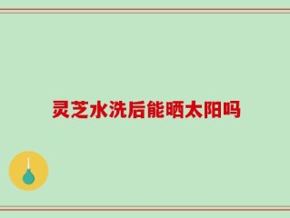 灵芝水洗后能晒太阳吗
