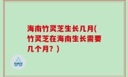 海南竹灵芝生长几月(竹灵芝在海南生长需要几个月？)