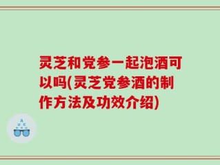 灵芝和党参一起泡酒可以吗(灵芝党参酒的制作方法及功效介绍)