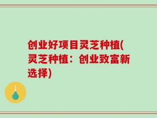 创业好项目灵芝种植(灵芝种植：创业致富新选择)