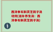 西洋参石斛灵芝鸽子汤功效(滋补养生汤：西洋参石斛灵芝鸽子汤)