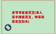 老爷爷拿紫灵芝(老人家手捧紫灵芝，神采奕奕走在街头)
