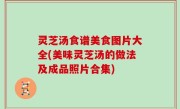 灵芝汤食谱美食图片大全(美味灵芝汤的做法及成品照片合集)