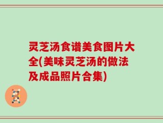 灵芝汤食谱美食图片大全(美味灵芝汤的做法及成品照片合集)